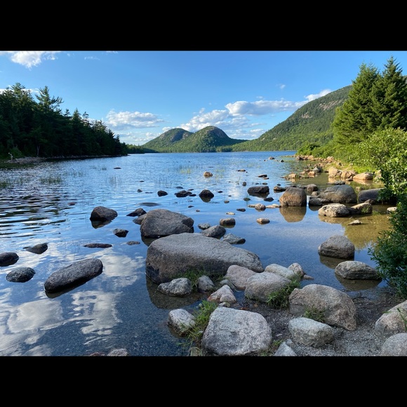 lotusbay